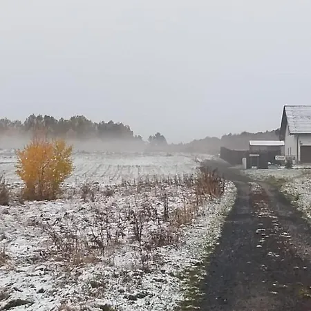 E Berry Farm - Slow Life *
