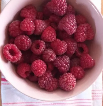 E Berry Farm - Slow Life * Kaluzna