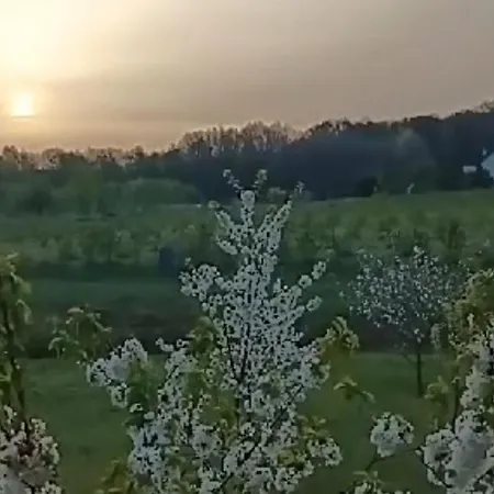 E Berry Farm - Slow Life منزل للإقامة
